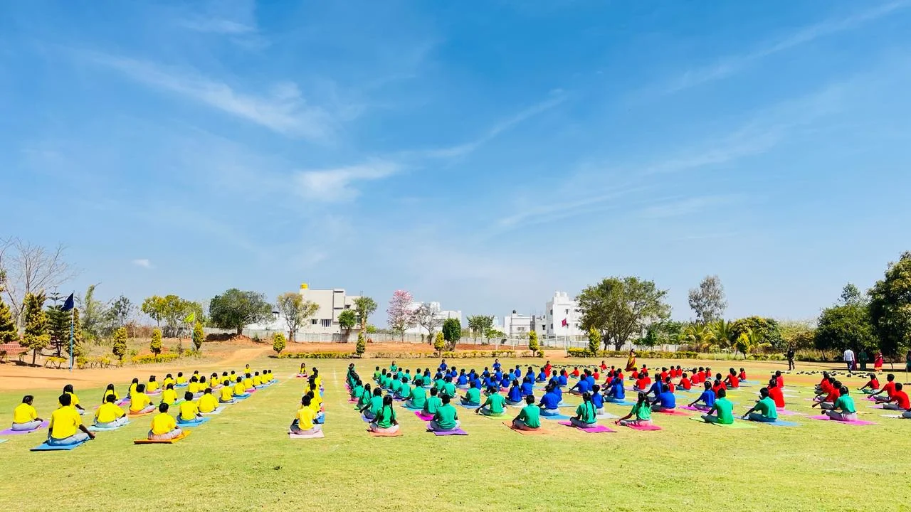 AVIN International School
