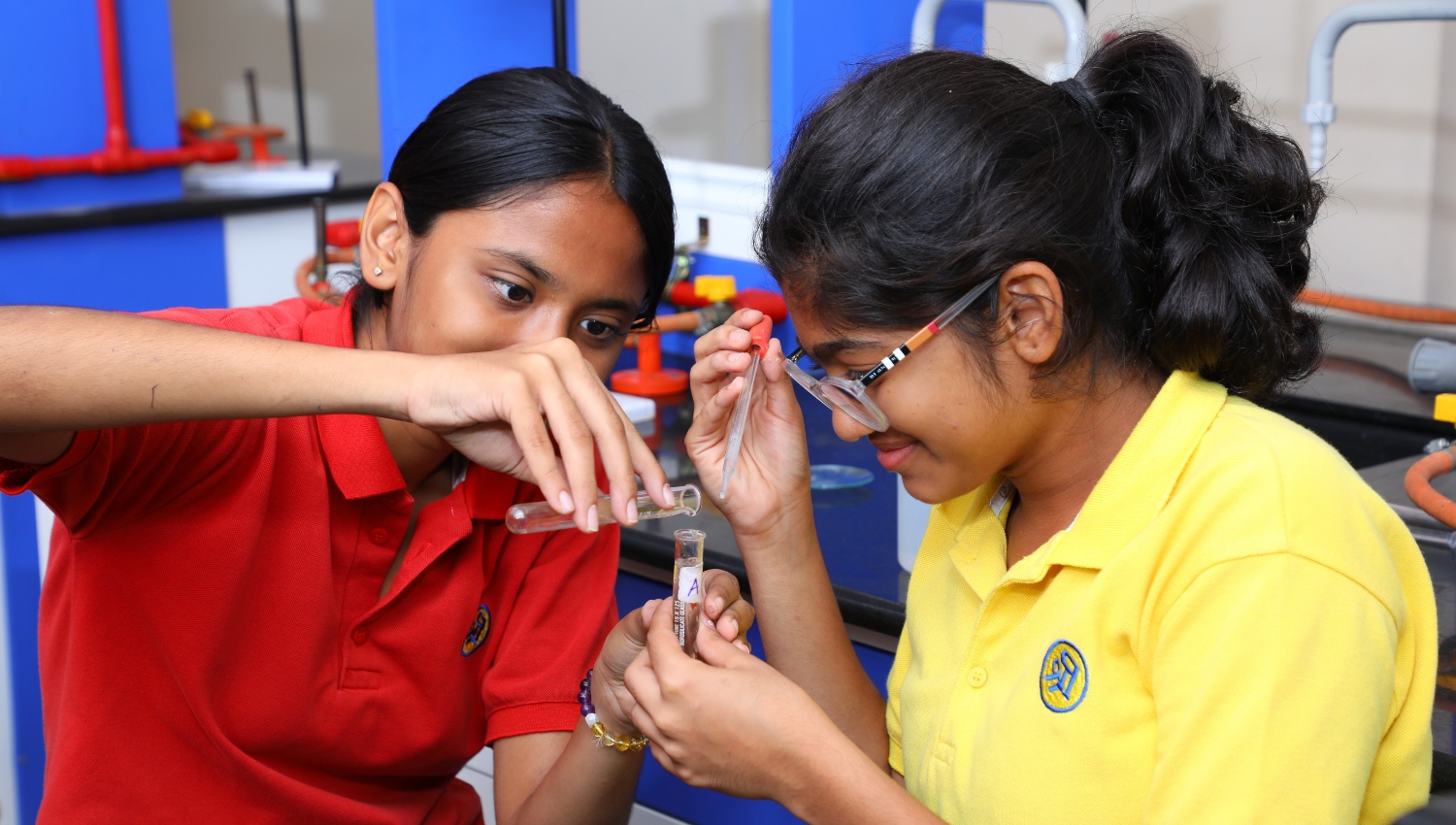 The Shri Ram Universal School