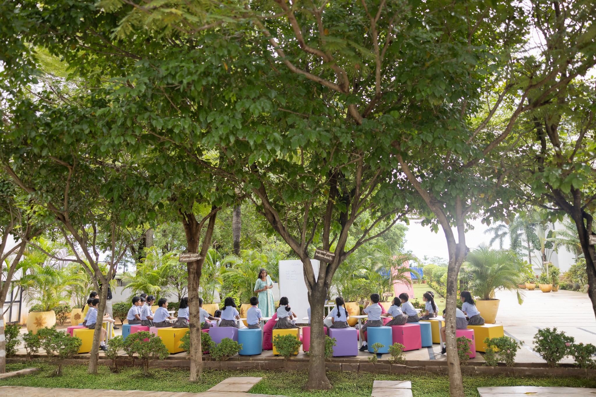 Rainbow School