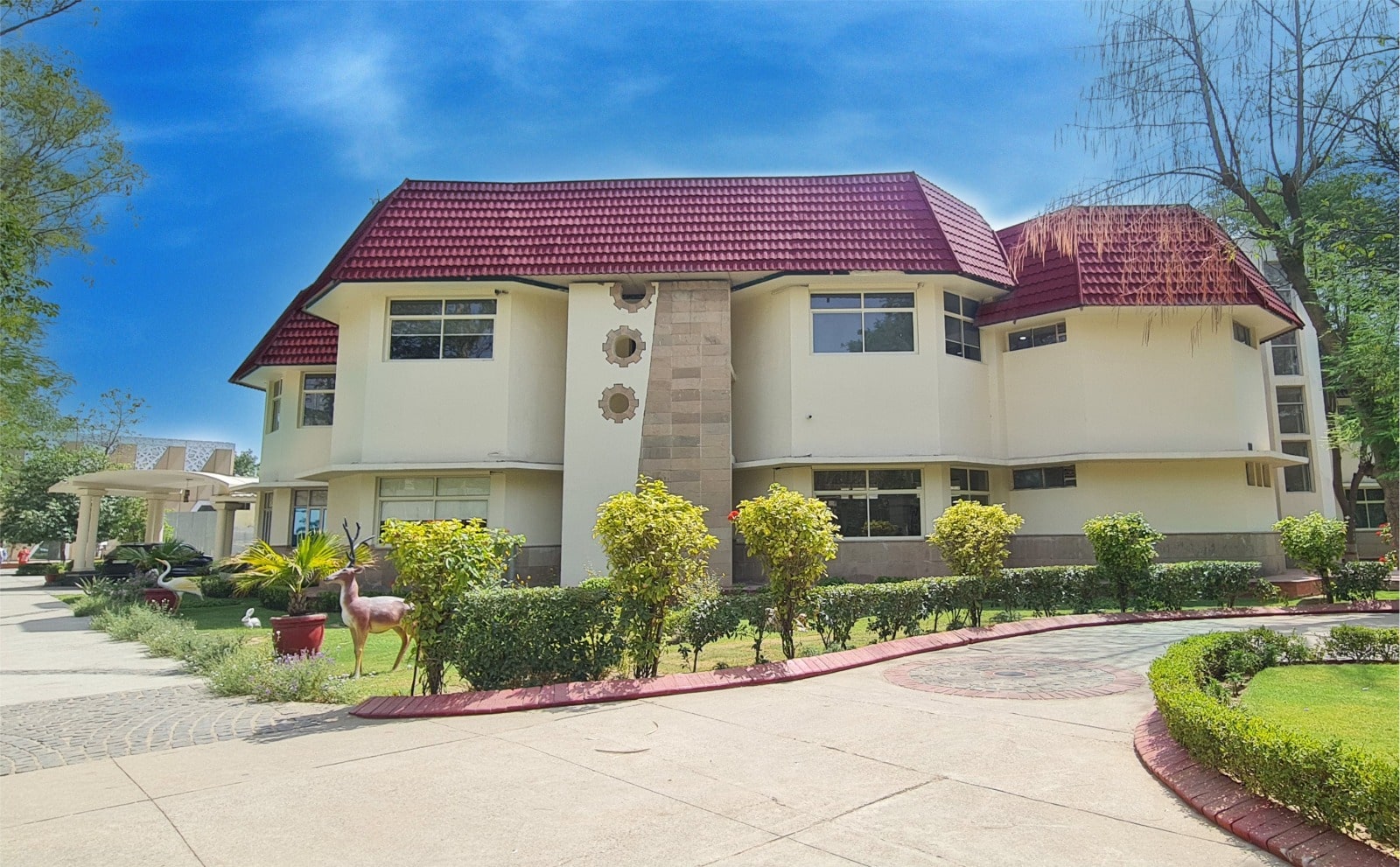 Gold field public school
