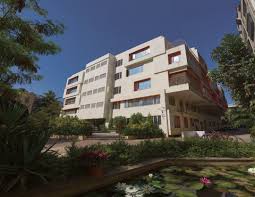 The Global Edge School stories